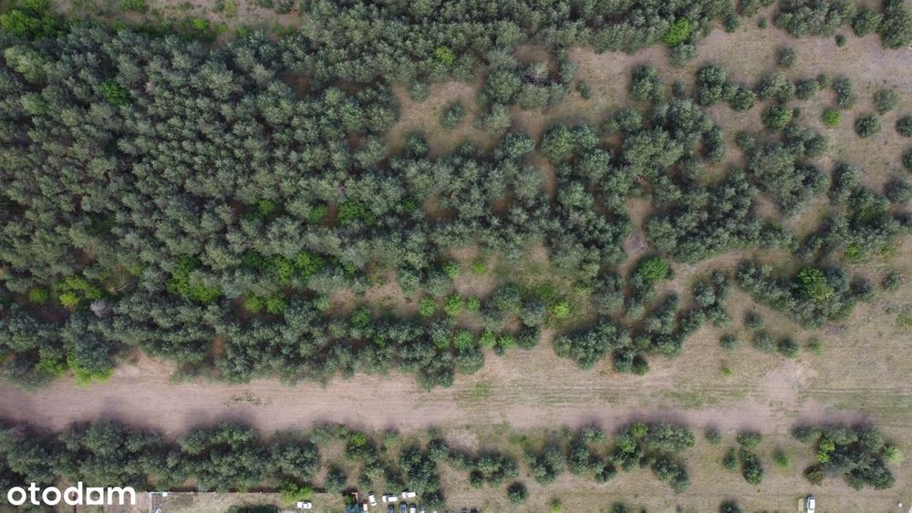 Działki budowlane przy lesie
