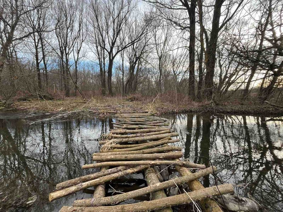 Продаж будинку біля лісу, перша лінія від річки
