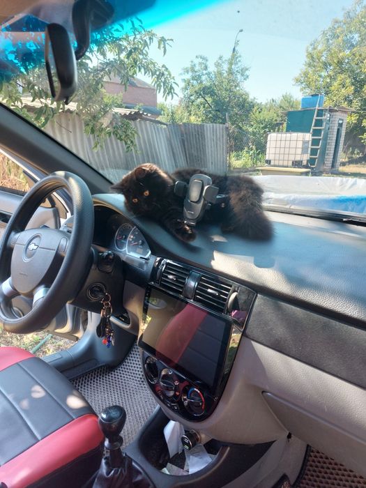 Лачетти 1.6 газ,бензин.