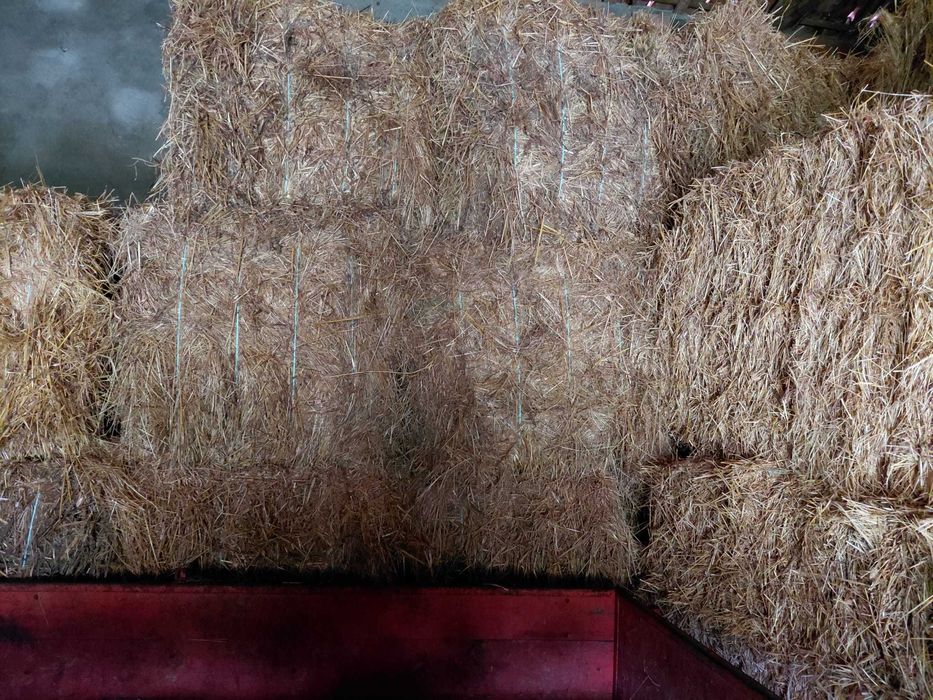 Fardos de palha Feno campanha 2025