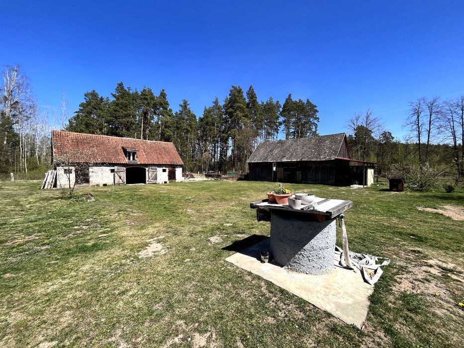 Przedwojenne gospodarstwo, dom na Mazurach – Kokoszki, Puszcza Piska siedlisko