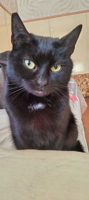 Неймовірна та магічна красуня чекає родину