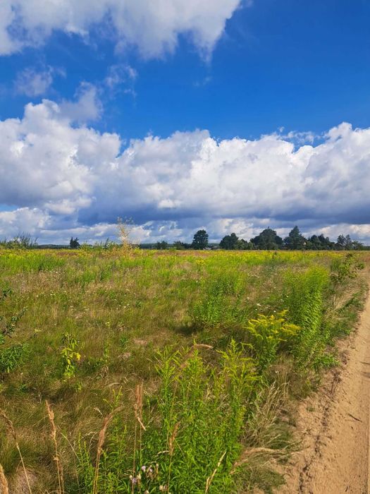 Działka 3700m2 z WZ na dom jednorodzinny i budynek gosp.