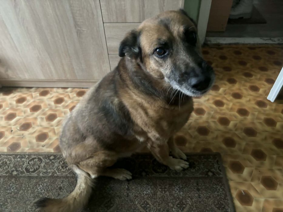 Spajder szuka pomocy