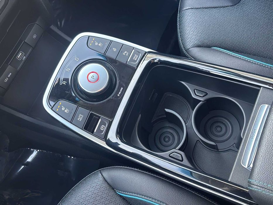 Kia e-Niro      2020