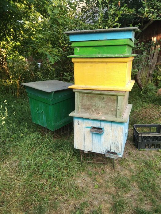 Продам вулики дадан