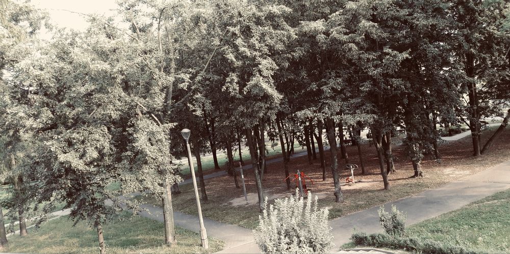 1 piętro, tramwaj, widok na park, 2 pokoje