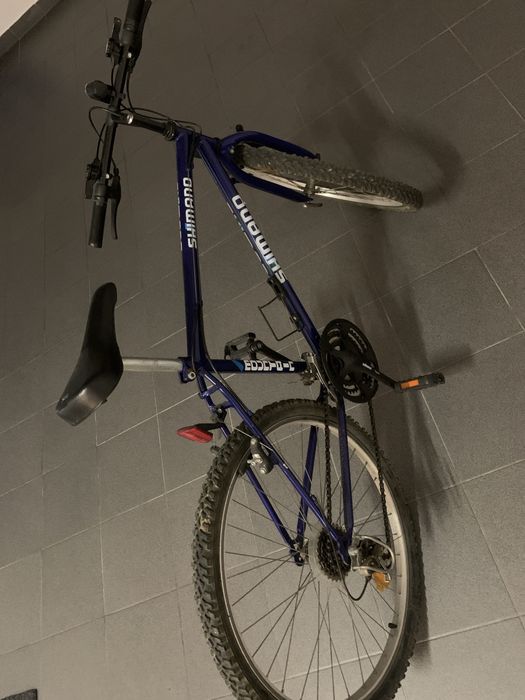 Biciclrta adulto