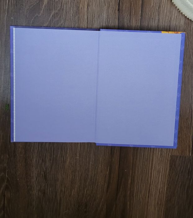 Brulion Twarda oprawa z Kubusiem Puchatkiem  3D