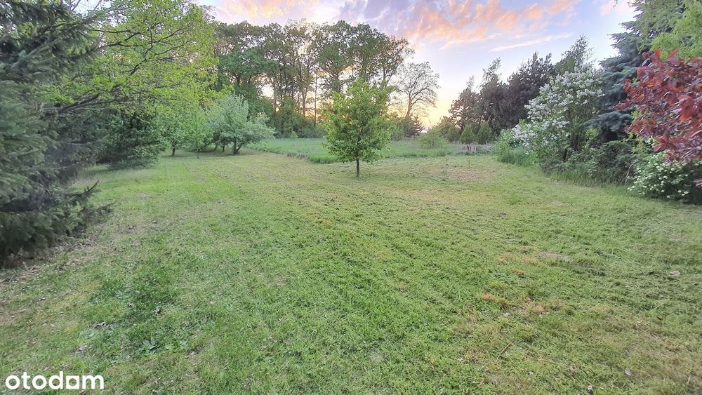 Działka budowlana 3179 m² Wilczków, niedaleko Wrocławia przy lesie - Widok 2