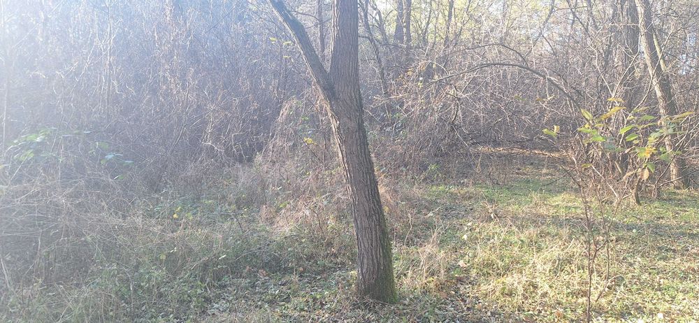 Działka leśna w Zawadach z dostępem do rzeki Liswarta