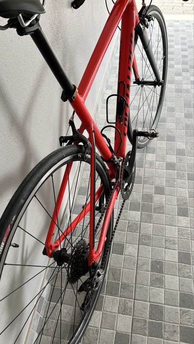 specialized ciclismo