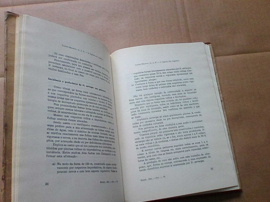 A lagarta dos coqueiros (Nephantis serinopa Meyrick)