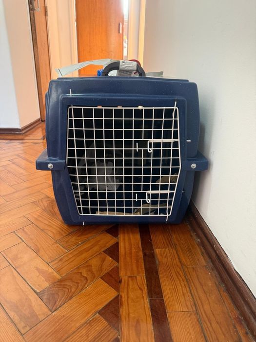Caixa Para Transporte Pet No Avião Padrão lata Tamanho 3