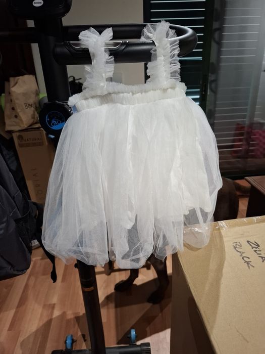 Conjunto fotografia 1 ano