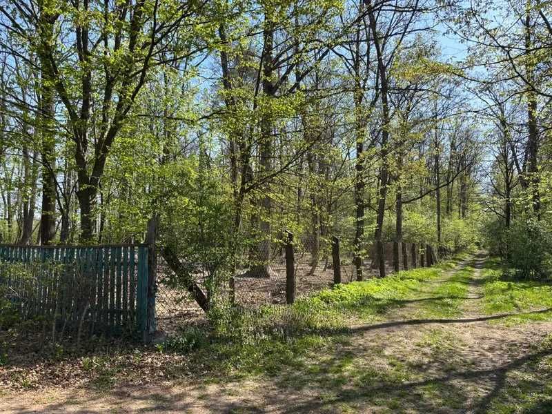 Мисливський будинок 218 м², на ділянці 0.5 га у лісі (Звягельський р-н). Готовий бізнес