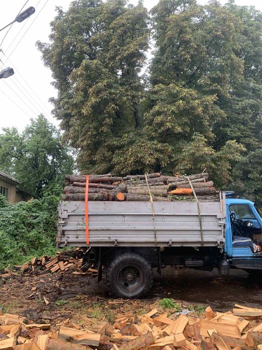Продам дрова РУБАНІ