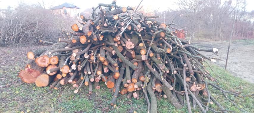 Продам дрова фруктових дерев.