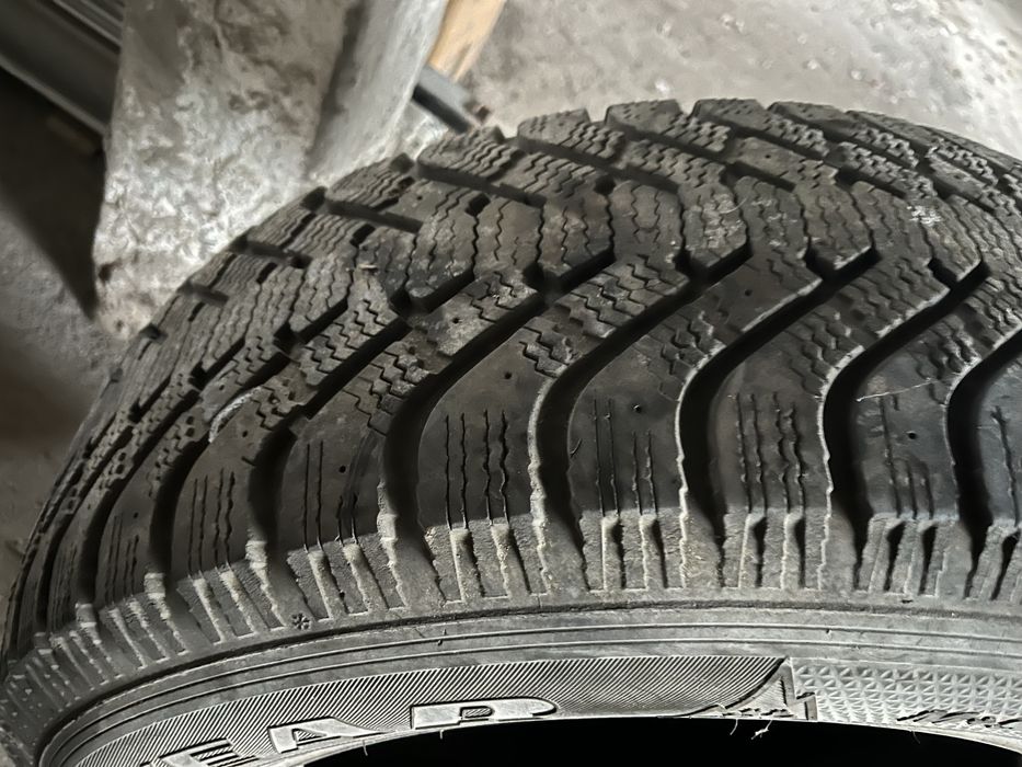 Резина 2 колеса, хозяин