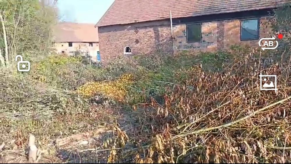 Mulczer leśny mulczowanie karczowanie czyszczenie działek rekultywacja