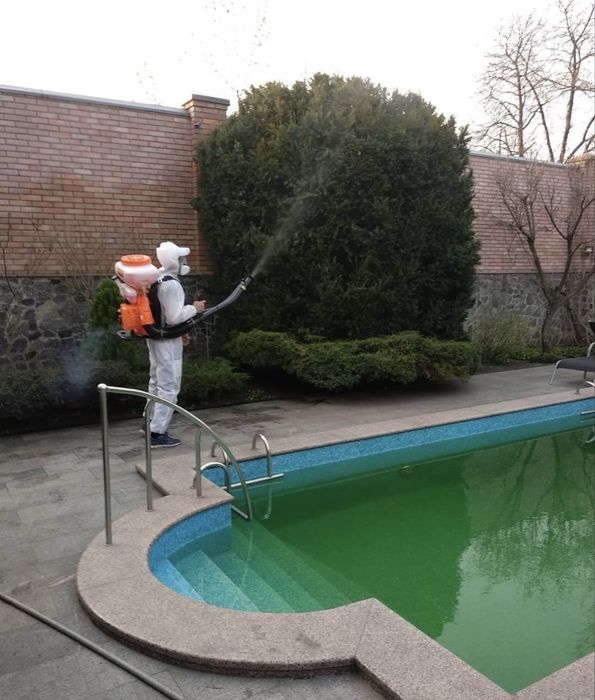 Стрижка газонов,деревьев,кустов.Обработки от вредителей.