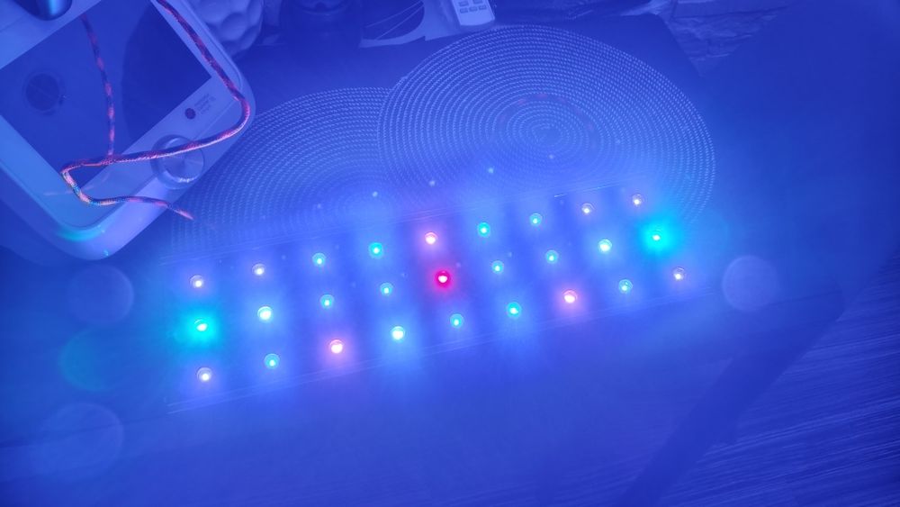 Akwarium morskie lampa led