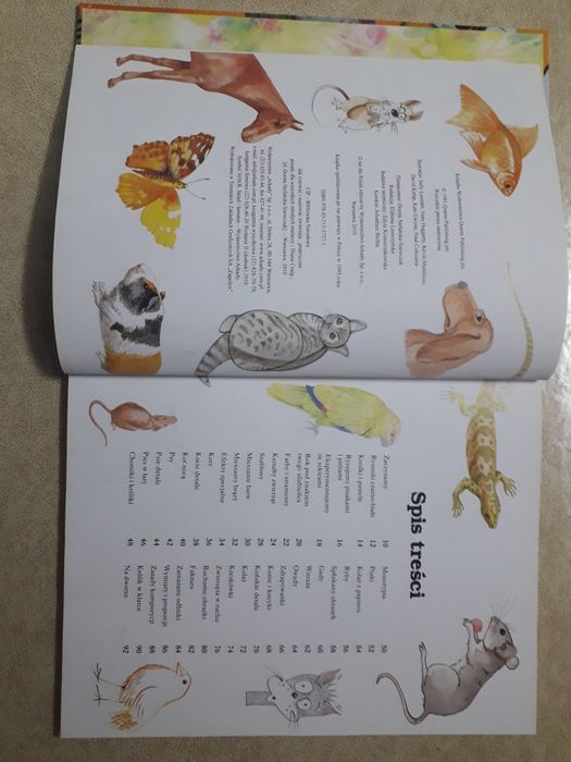 Książka edukacyjna