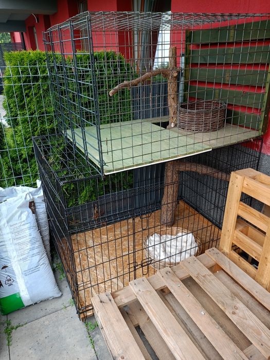 Wybieg, klatka dla kotów idealna do ogrodu lub na taras, czy duży balkon
