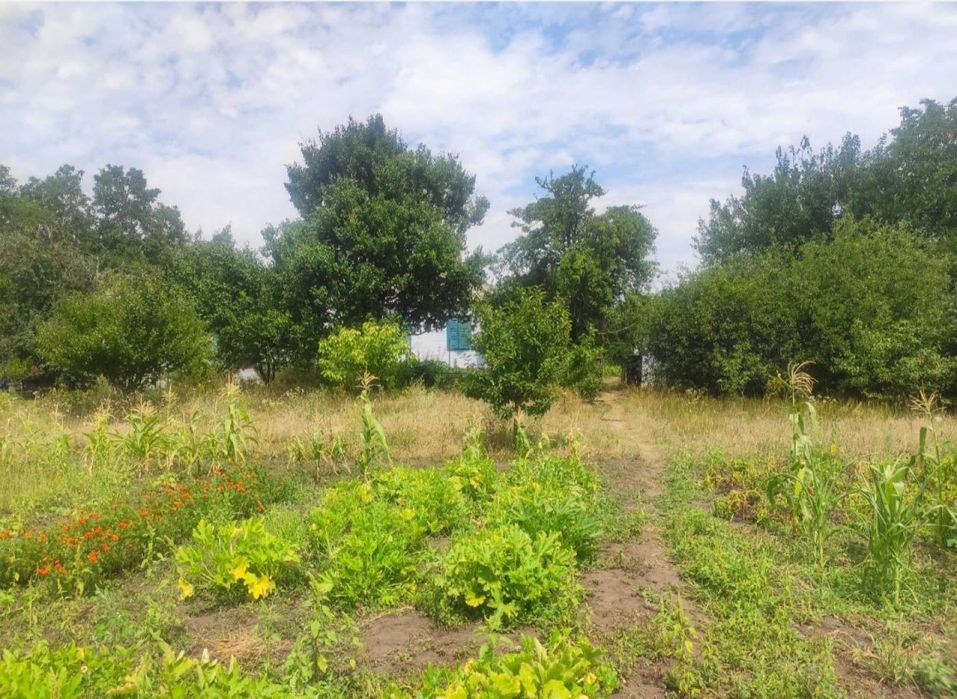 Продам будинок в Обухівці біля лісу