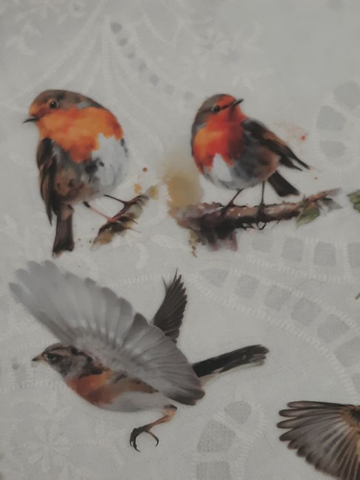 15 stickers pássaros selvagens, autocolantes scrapbooking.