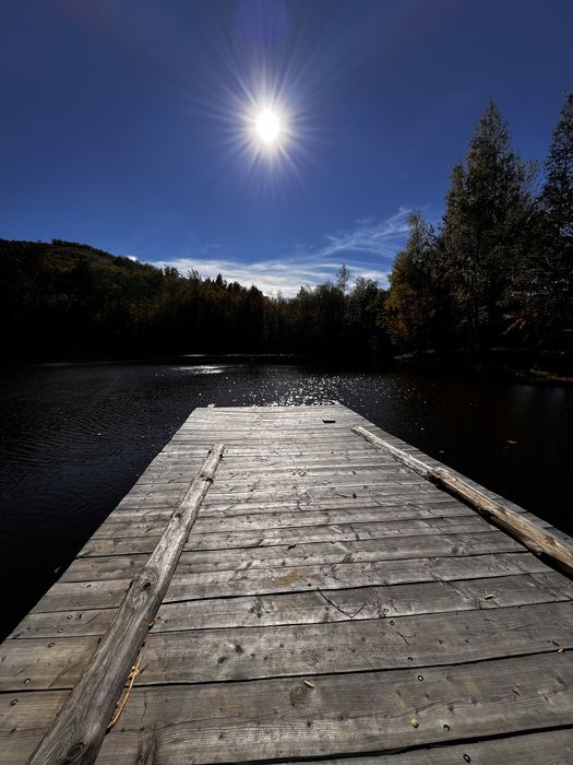 Котедж серед лісу  в Карпатах.  Риболовля. Чан.Сауна. Без сусідів.