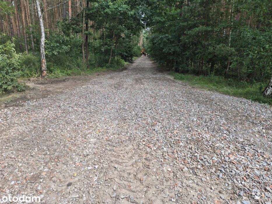 Działka budowlana w lesie