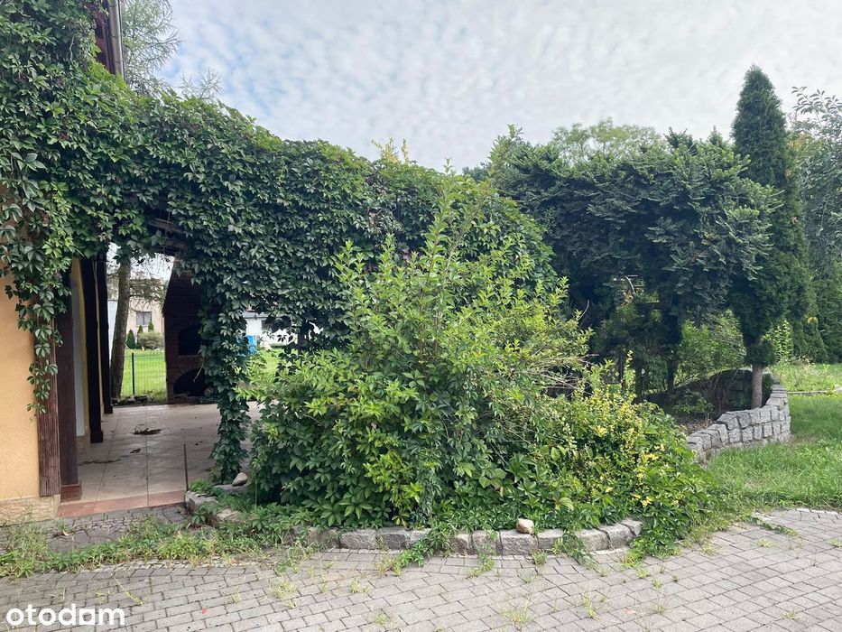 Dom – Skorogoszcz - Widok 3