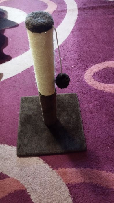 Кігтьоточка для котів