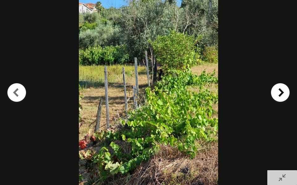 TERRENO 5.500m2 Parada de Gonta - Tondela