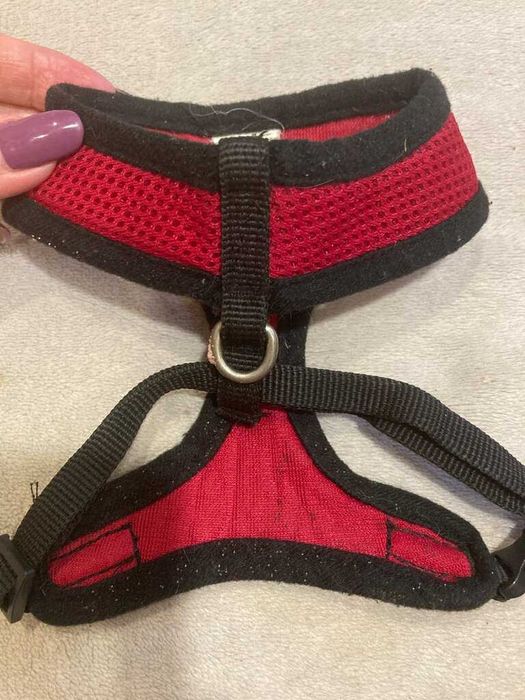 Шлейка для кота маленькой собачки