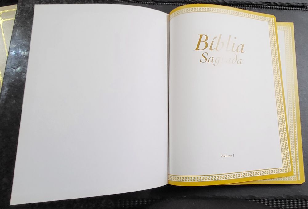 Bíblia Sagrada 15 volumes