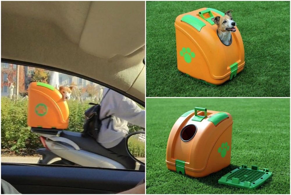 Cabine Pet para Mota