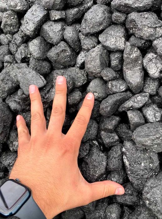 Тепле рішення — вугілля, брикети, пелети сертифікат