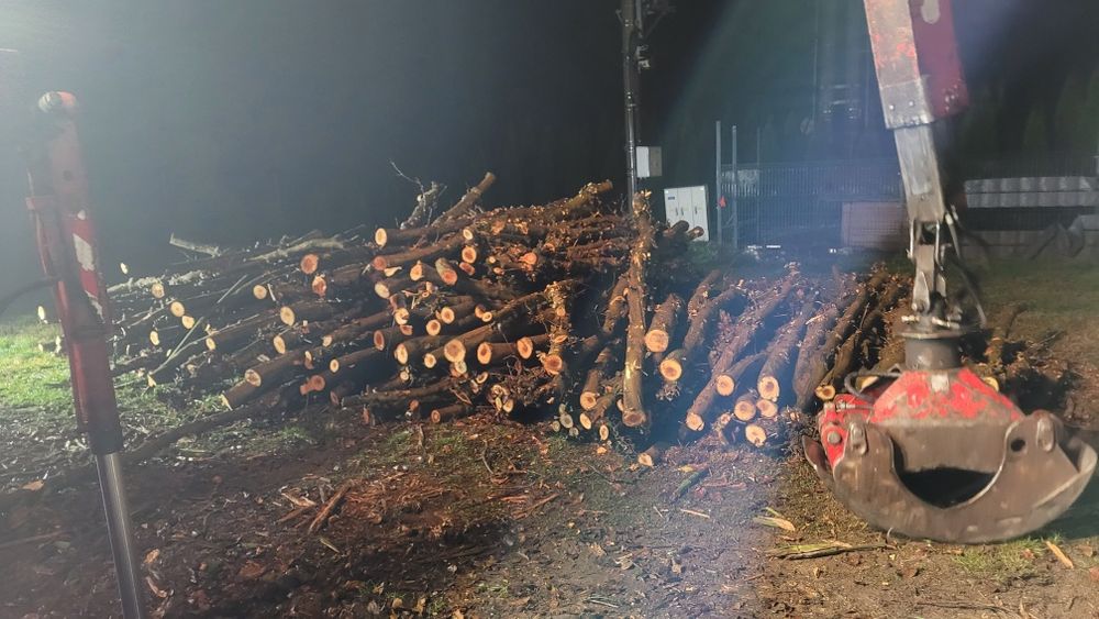 Jabłoń wałki hurt i detal drewno opałowe kominkowe super jakość i cena