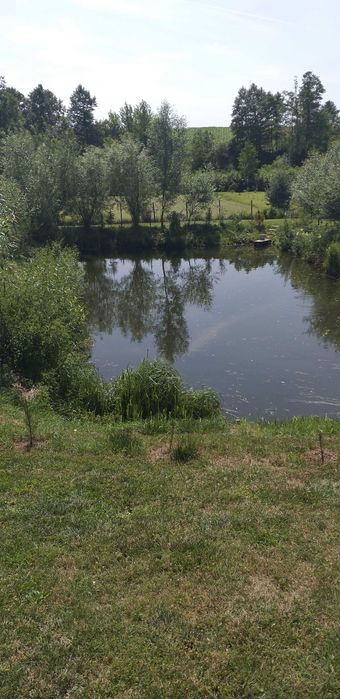 Agroturystyka nad stawem JURA rzeka staw kajak wędkowanie
