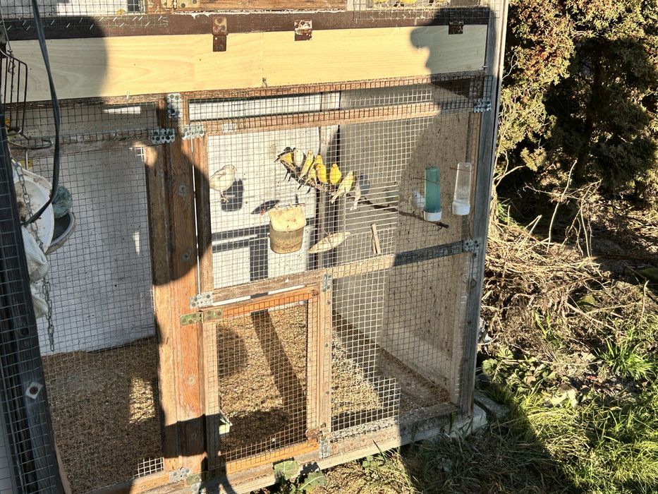 Miniatura hiszpańska z 25 i 24 roku