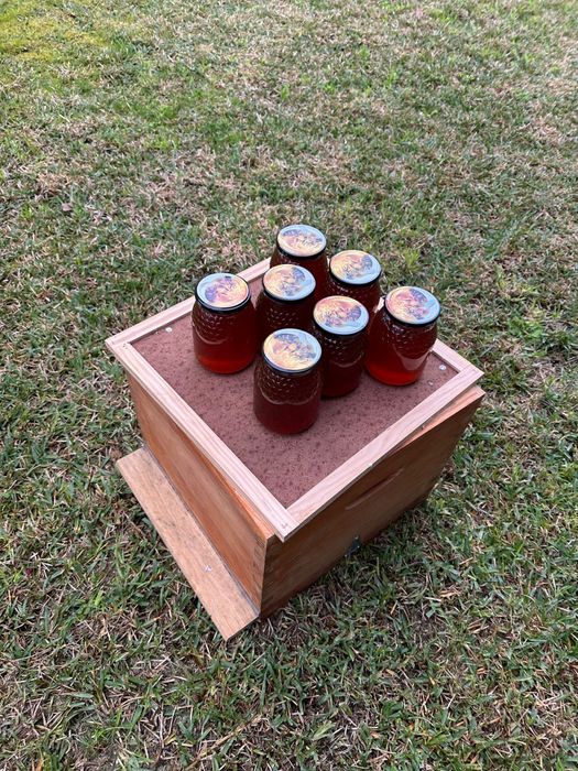 Mel natural multifloral