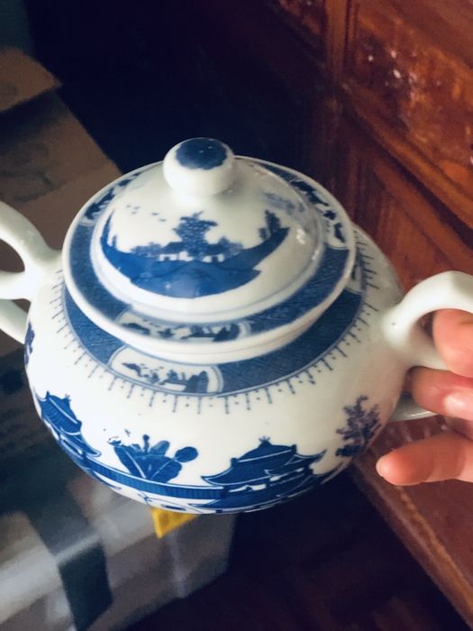 Loica de cantão - macau