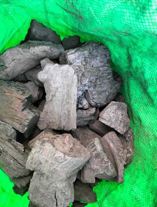 Holm Oak Charcoal64281308575619122