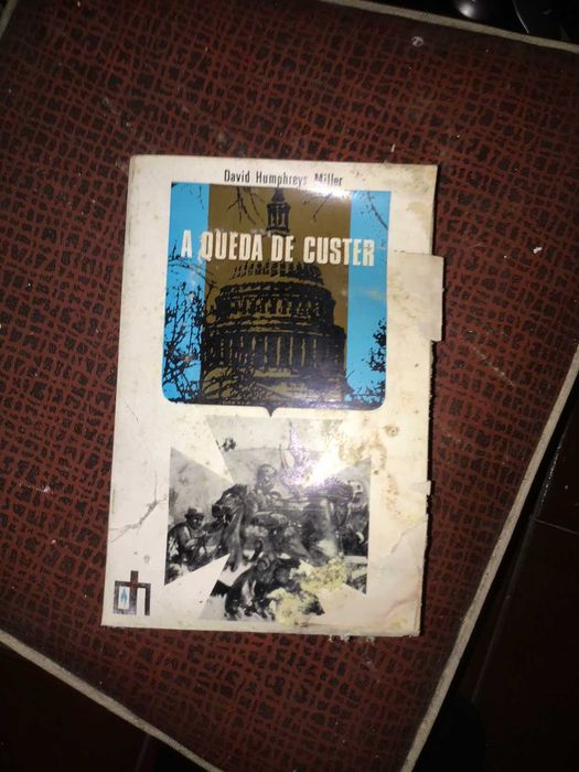 livro a queda de custer