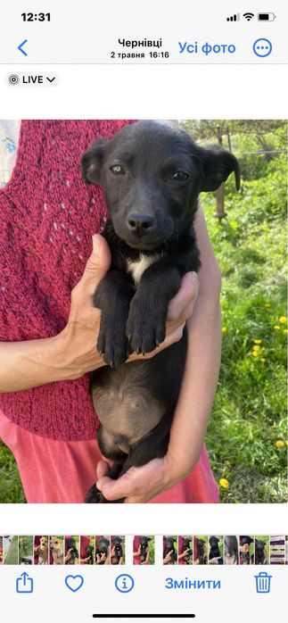 У добрі ручки !