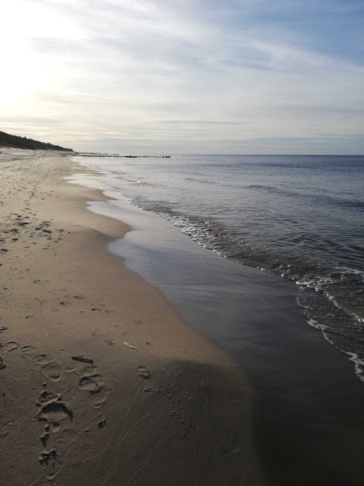 Apartament na wynajem  w Shellter&Aparments