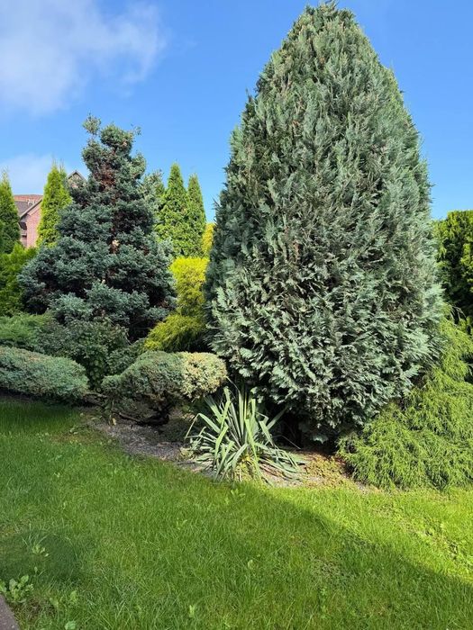 Оренда будинку вул.Рівненська