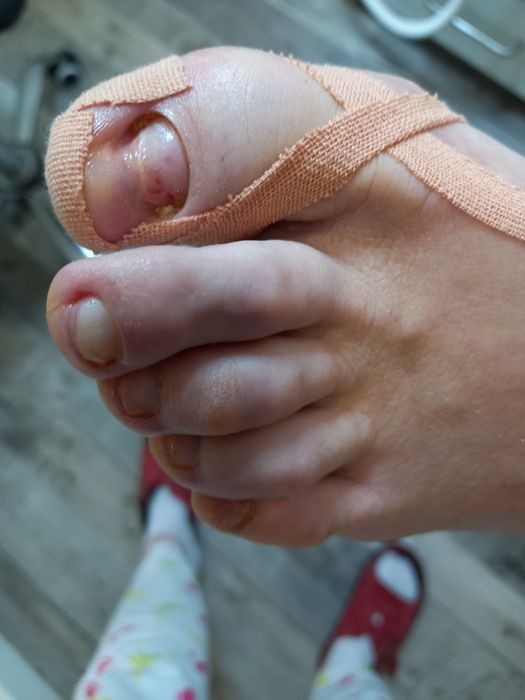 Mobilny Podolog na teranie Poznania i okolic